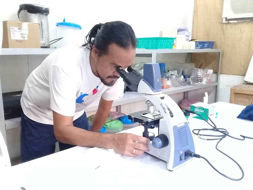 AT THE HATCHERY’S LAB: Photo shows MFI Biodiversity Conservation Manager Pacifico Beldia II observe the early phase of the Tridacna gigas fertilized eggs’ development, last June 1 at the laboratory of WPU Hatchery in Binduyan, Puerto Princesa City. On the average, a juvenile must spend six months in the hatchery before it is placed in ocean nurseries. When it is finally released into the wild, it has to be caged during the initial months for further protection it until it matures enough to survive on its own. 