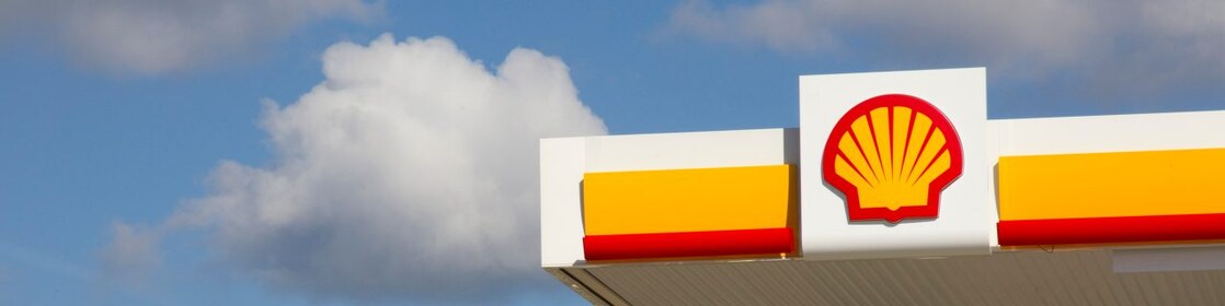 Shell pecten on retail site