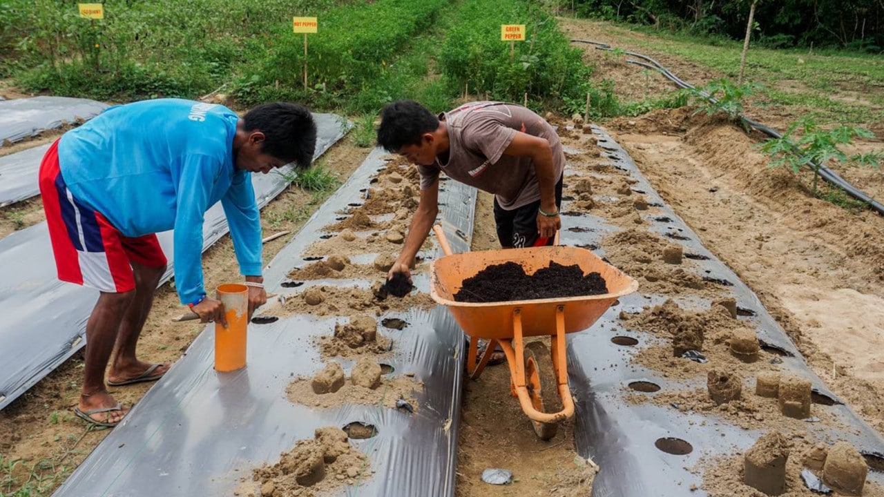 Teaching locals the benefits and techniques of organic farming through PSFI’s Palawan Eco-Agro Park Program.