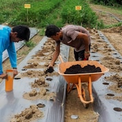 Teaching locals the benefits and techniques of organic farming through PSFI’s Palawan Eco-Agro Park Program.