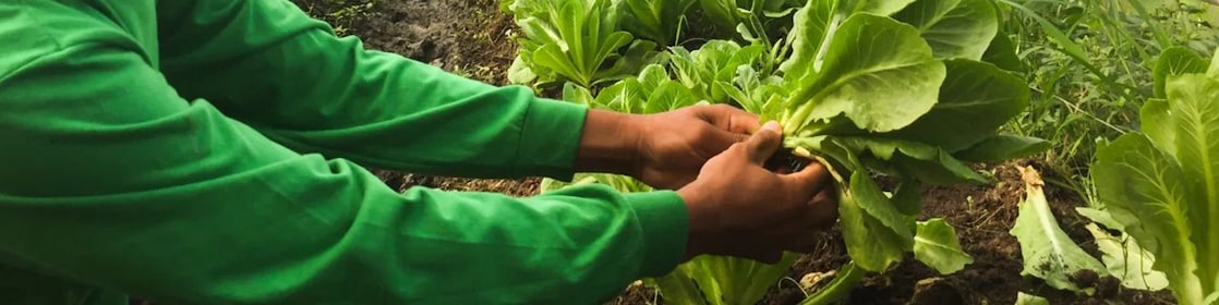 Kindergarten in the Donglian resettlement village