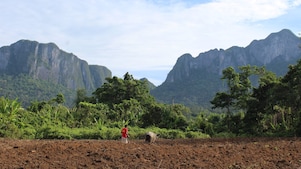 man in the field