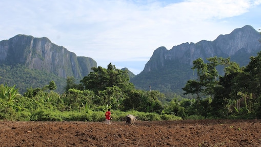 man in the field
