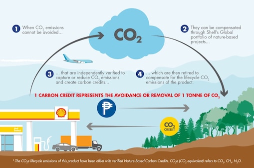 carbon offset