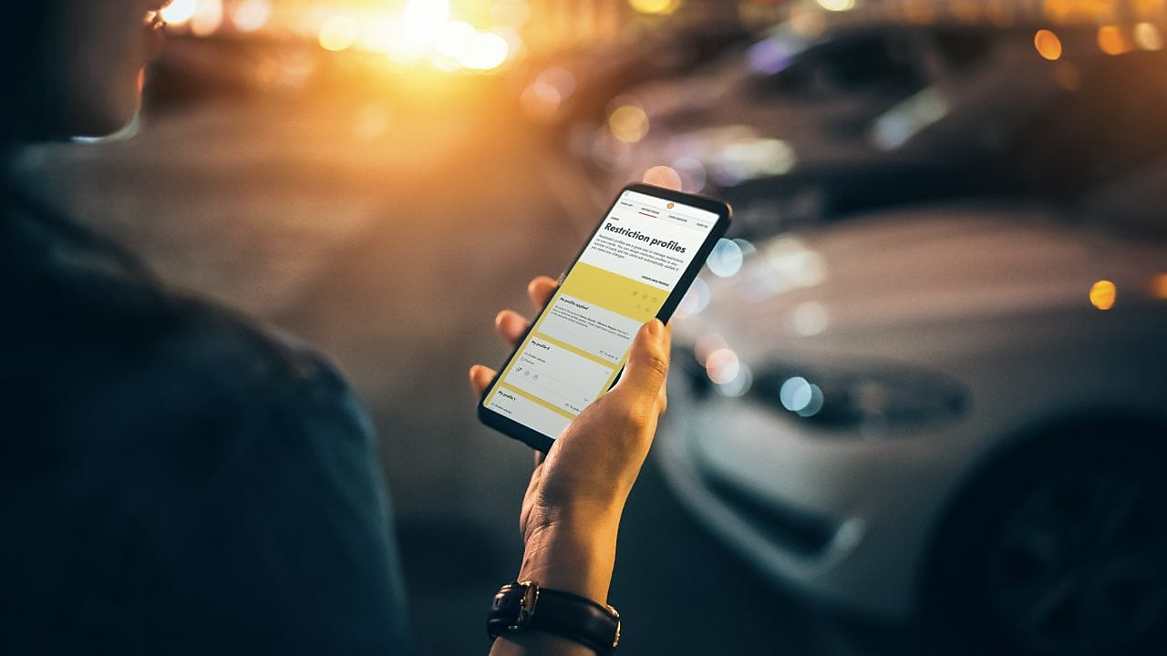 Digital image of car internal part