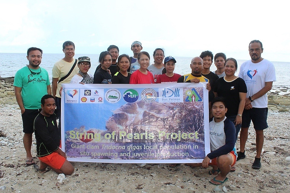 THE TEAM: Malampaya Foundation, Inc., Western Philippine University, University of the Philippine Marine Science Institute, Palawan State university, Dos Palmas Resort & Spa, and Palawan Council for Sustainable Development welcomed the month of June by commencing the special project of helping Palawan genome Tridacna gigas increase in numbers.